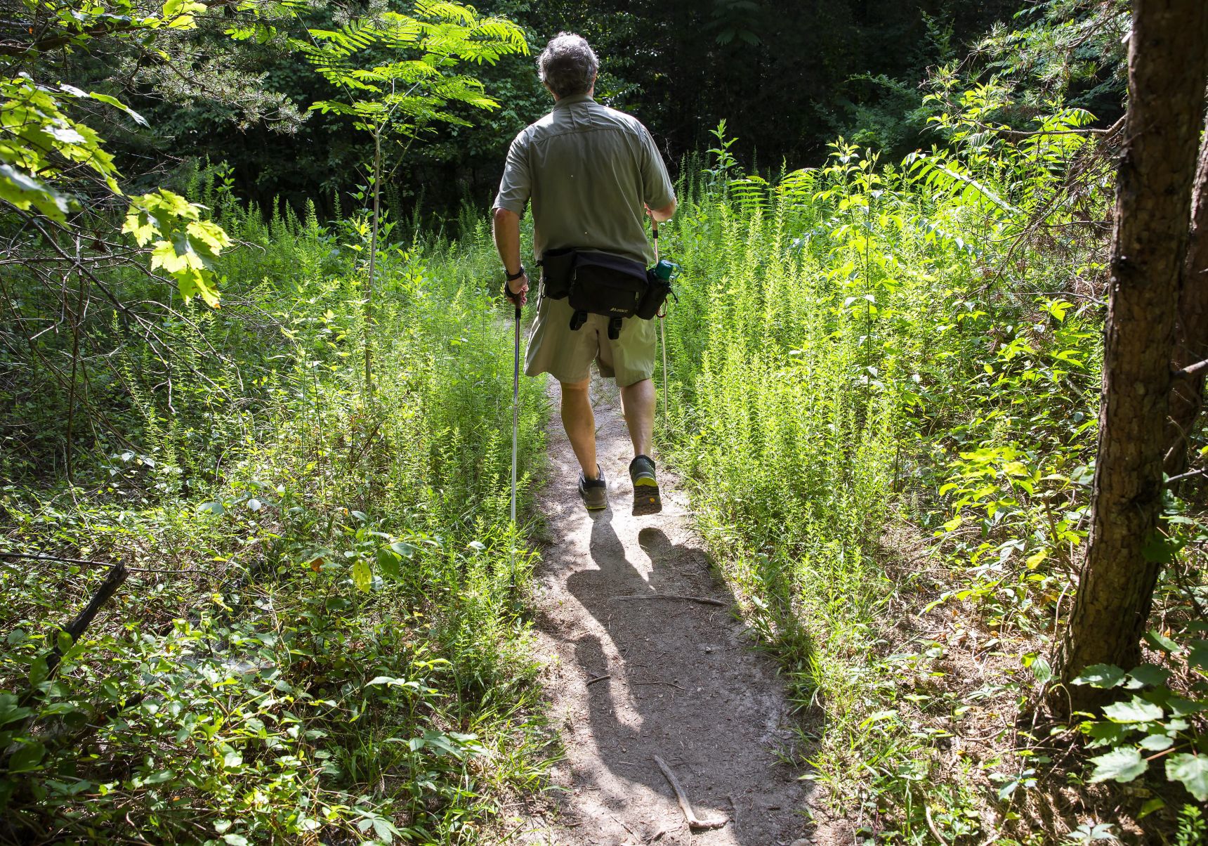 Cascade Preserve hiking trail